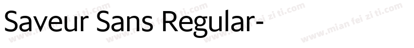 Saveur Sans Regular字体转换